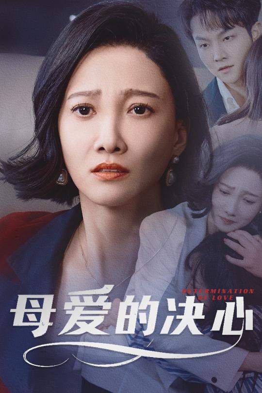 母爱的决心 尘世暖阳 第01-20集