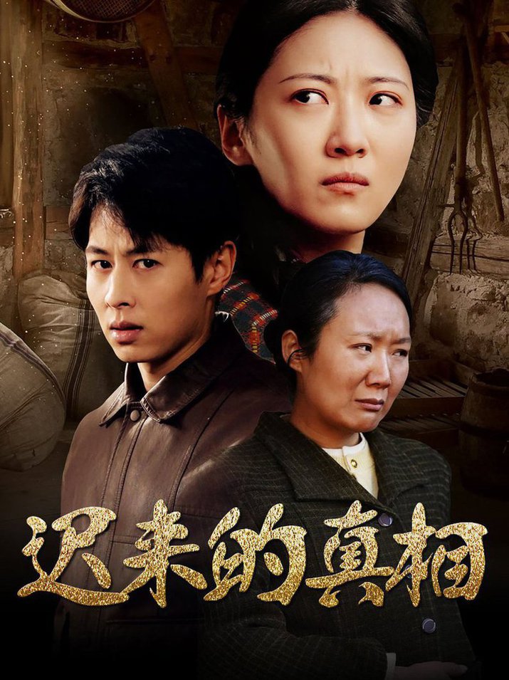 迟来的真相 因果 第01-30集